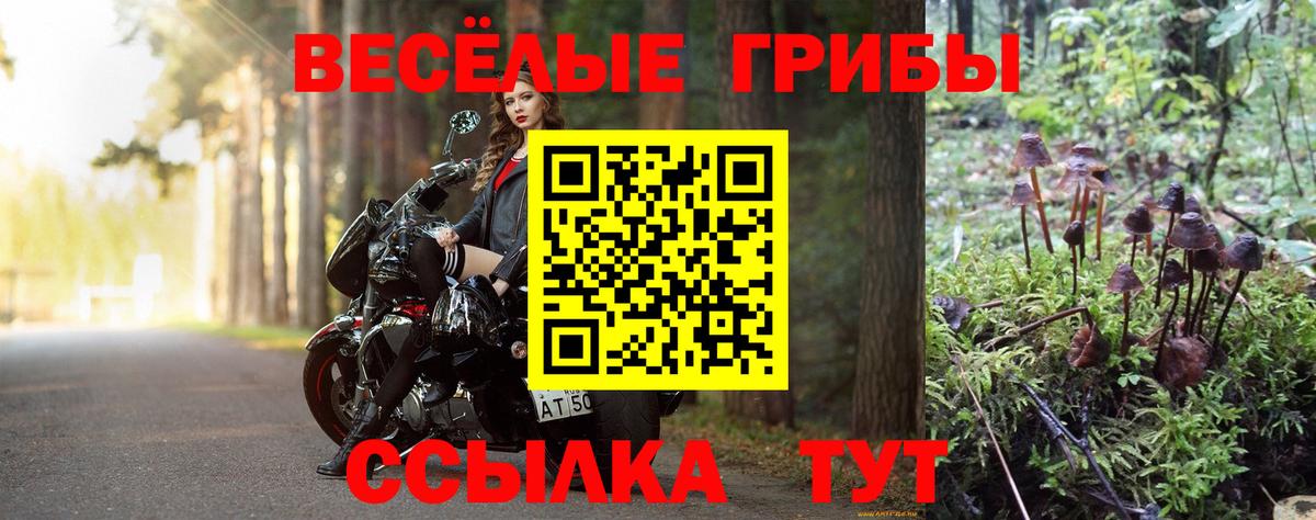 Галлюциногенные грибы MAGIC MUSHROOMS Видное
